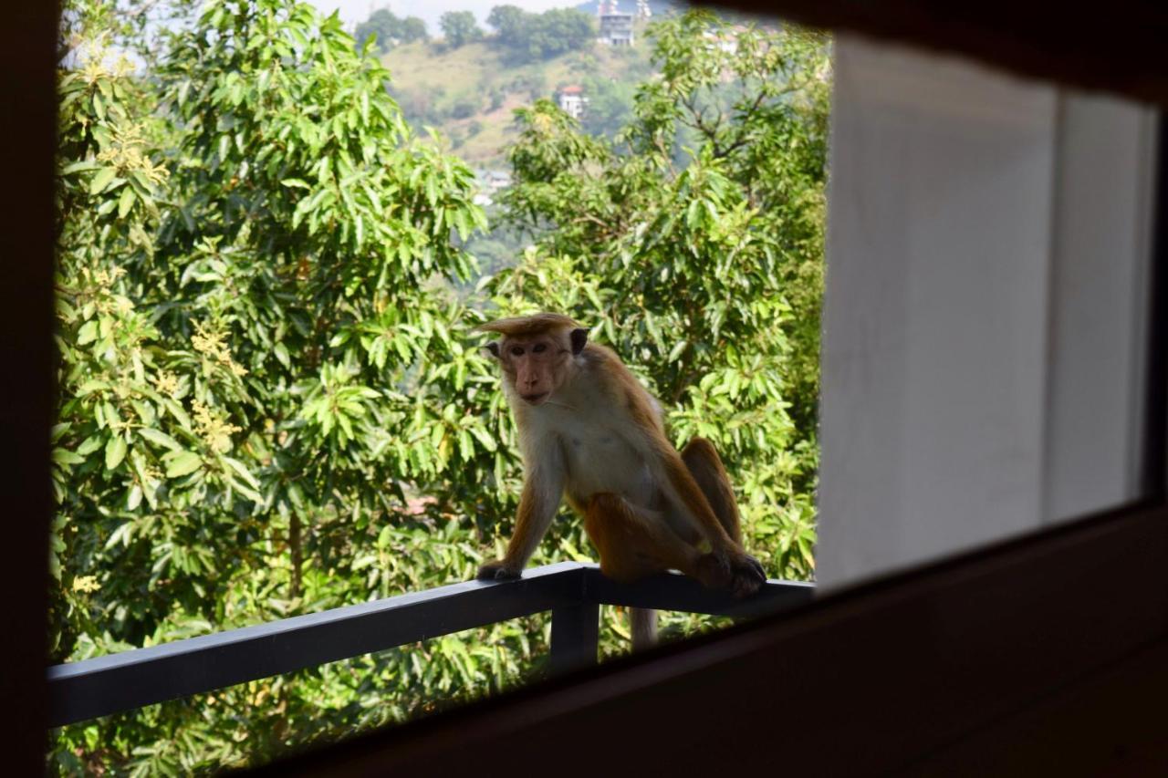 La Colina Kandy Exteriér fotografie